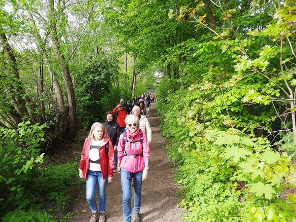 Im Wald