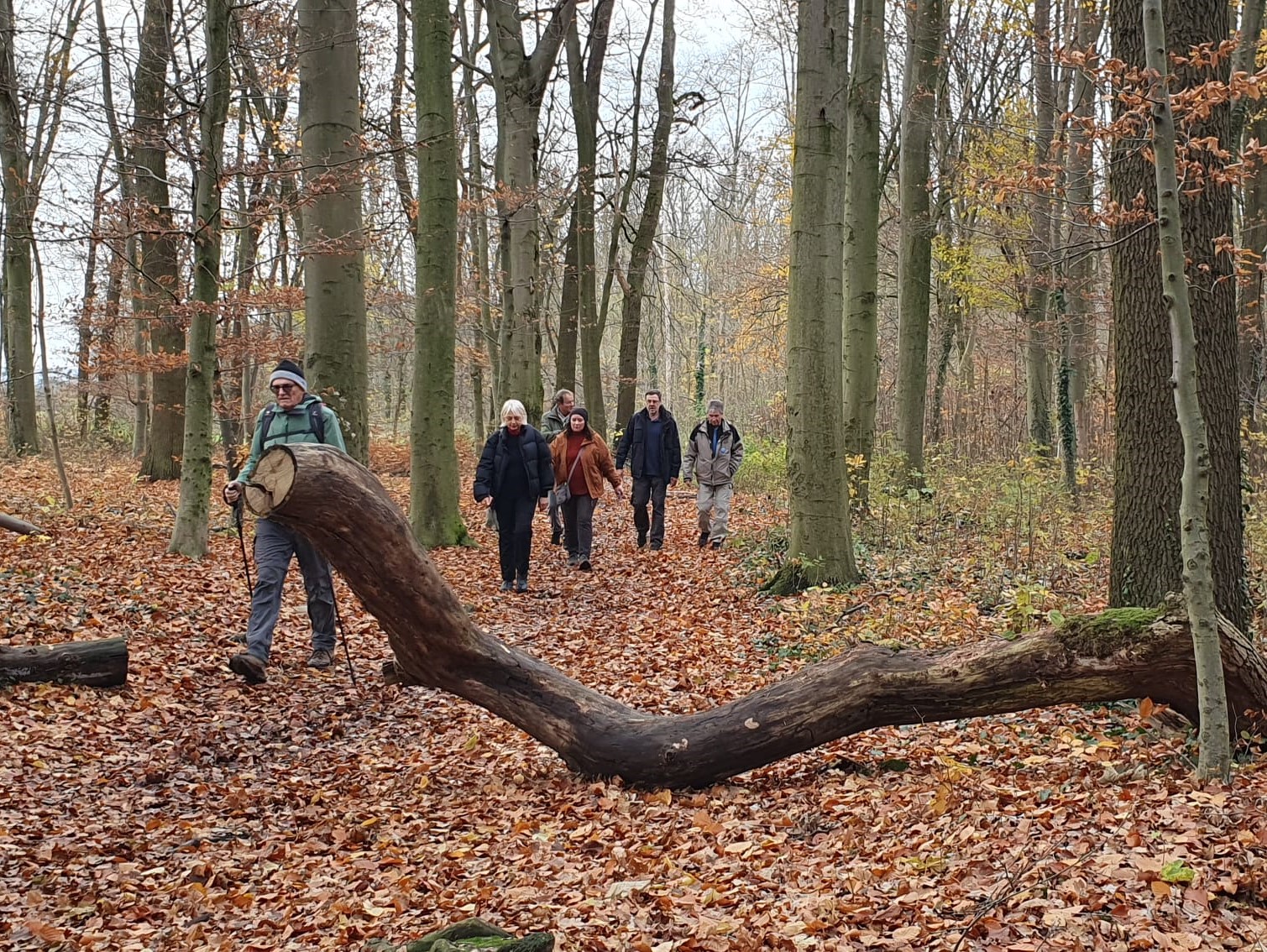 Wettberger Holz
