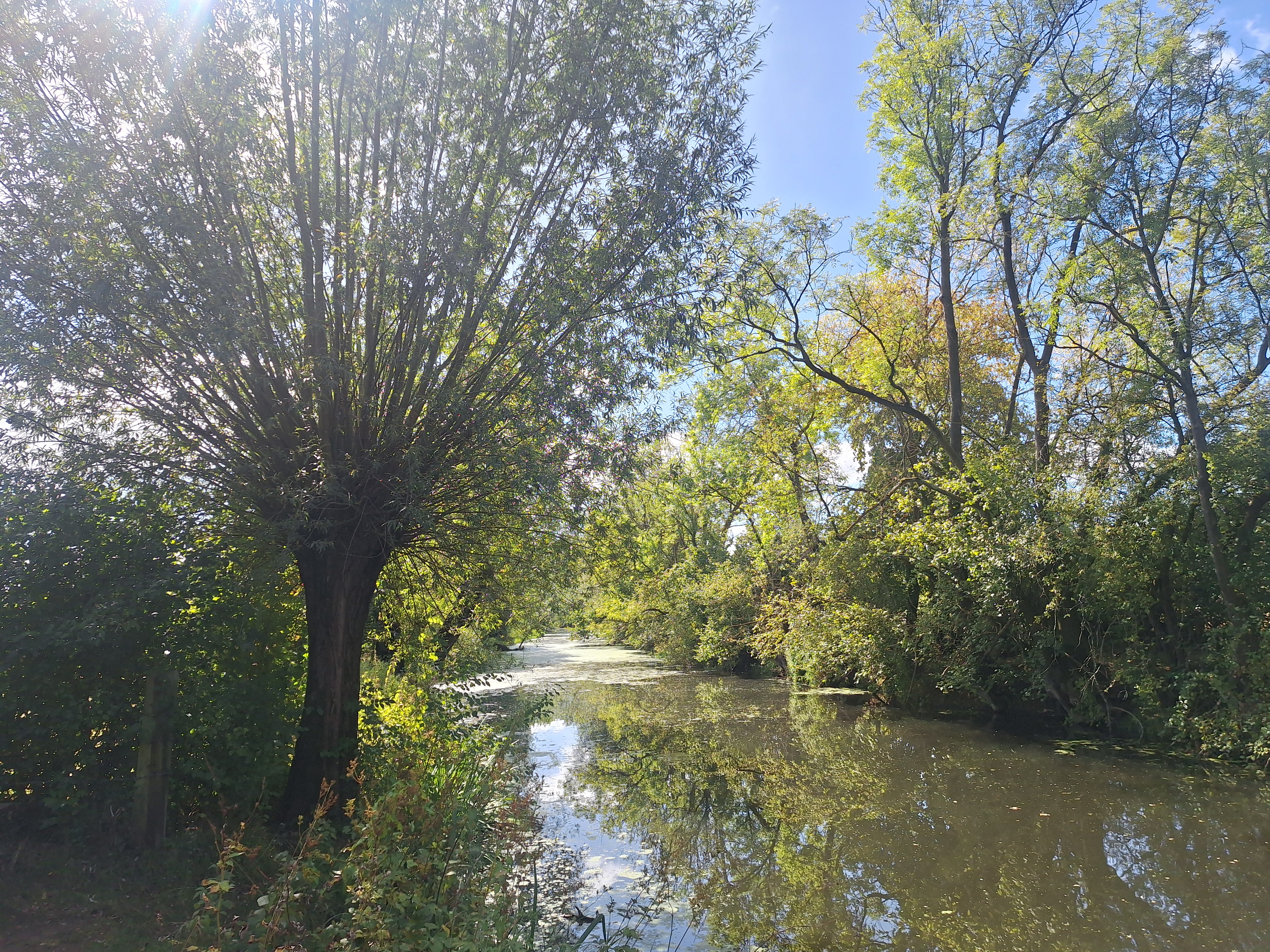 Maschsee