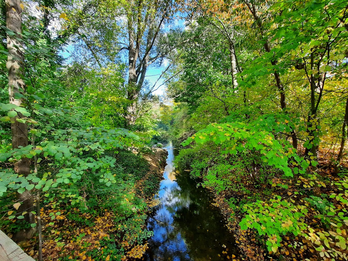 Hemmingen im Grünen