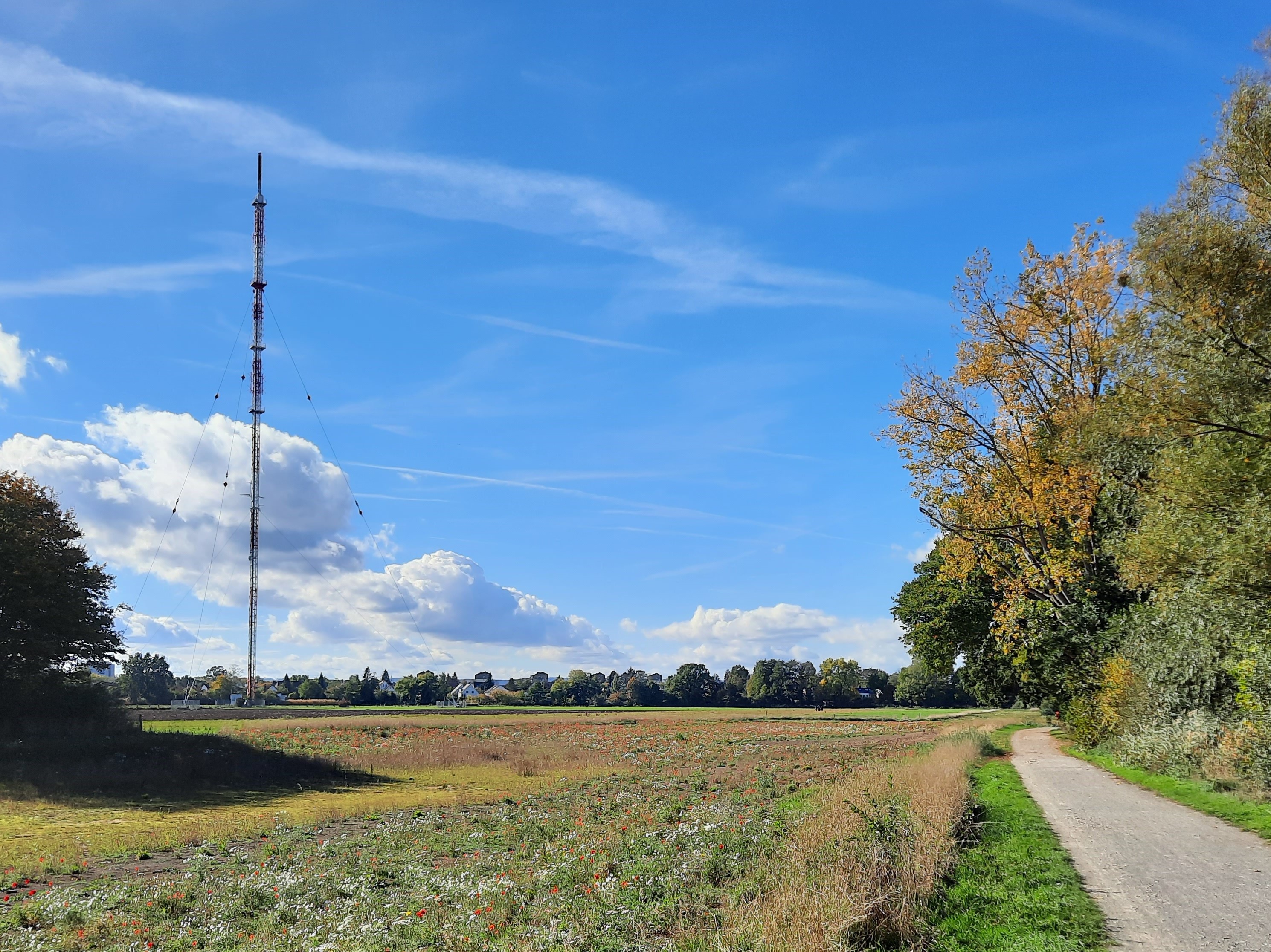 Wahrzeichen Hemmingen