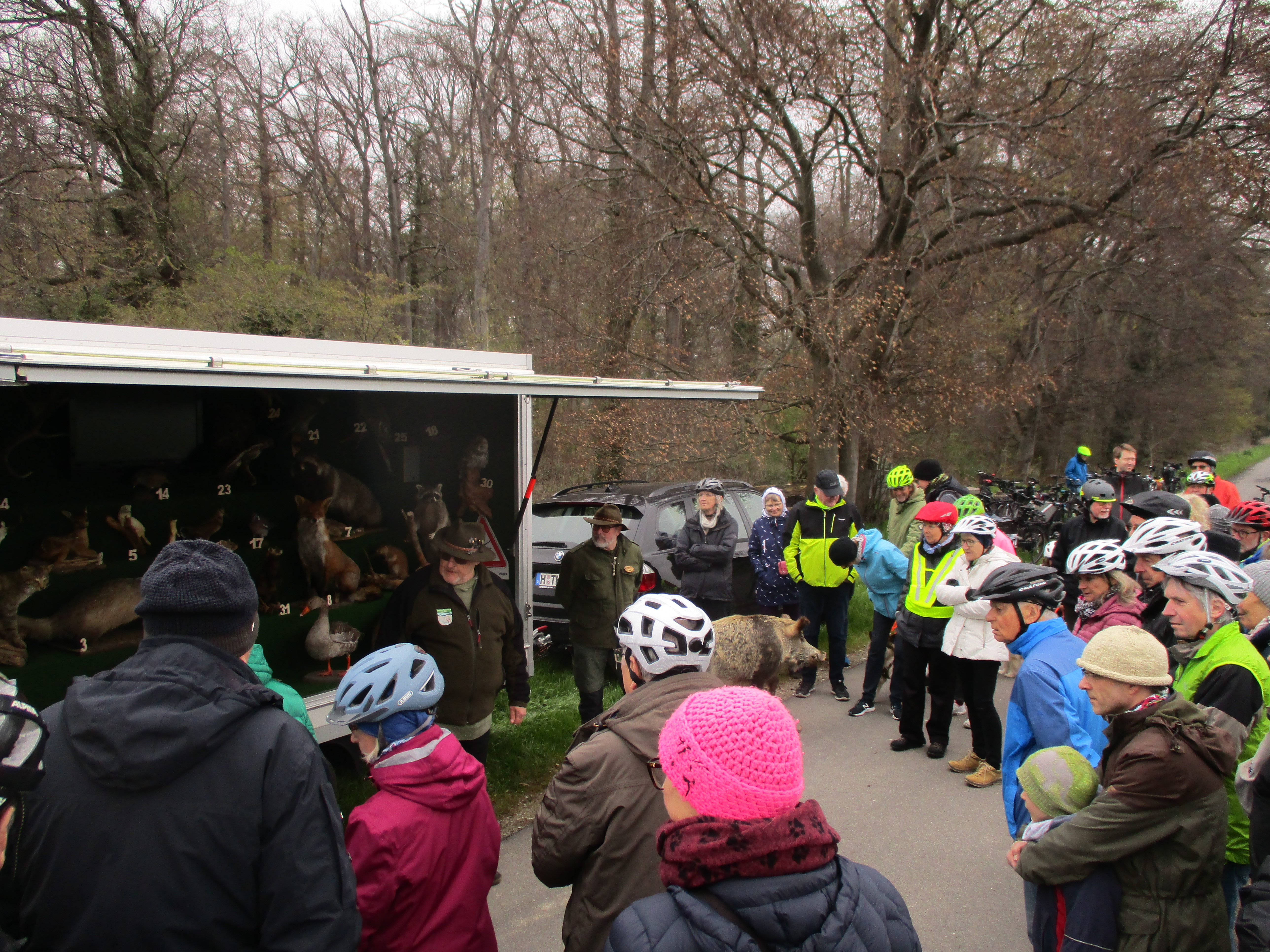 Tiere in Hemmingen
